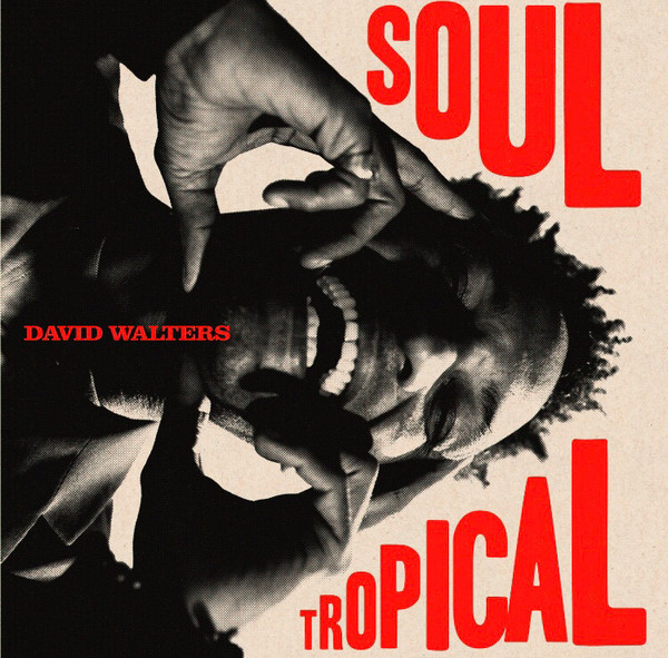 David Walters - Soul Tropical | Heavenly Sweetness (HS238VL) - main