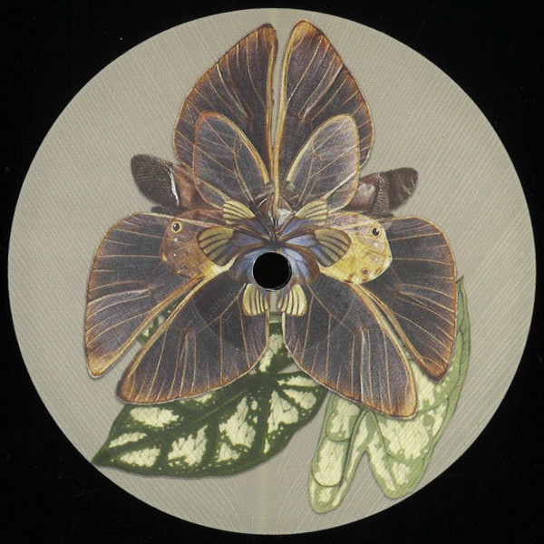 Various - ENFASI002 | Enfasi Records (ENFASI002) - main