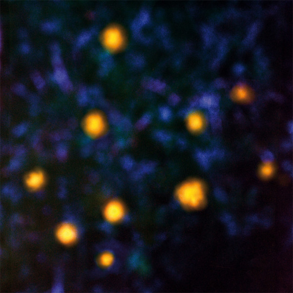 Recondite - Daemmerlicht | Plangent Records (PLANLP001) - main