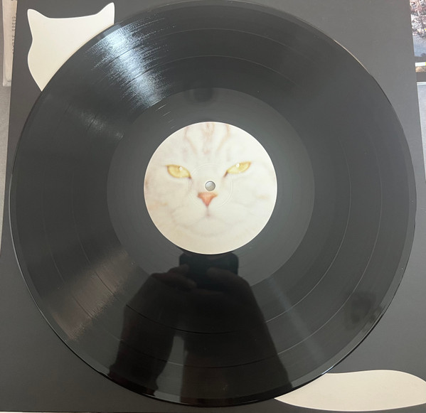 Sarter Kit - What I Am And What I’m Not | Squama (SQM029) - 2