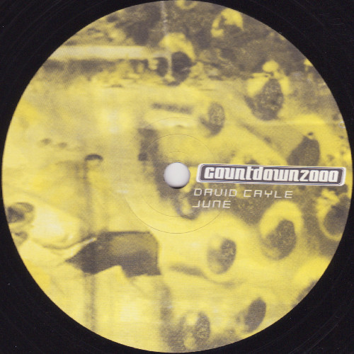 David Cayle - June | Countdown 2000 (Countdown 2006) - 2