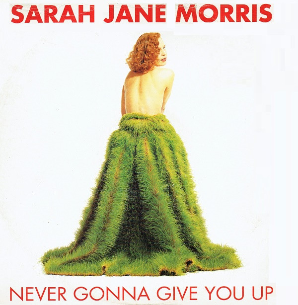 Sarah Jane Morris - Never Gonna Give You Up | Virgin (VINX 267) - main