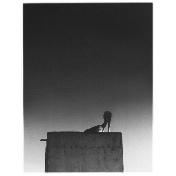 Ø - Sysivalo | Sähkö Recordings (SÄHKÖ-037) - main