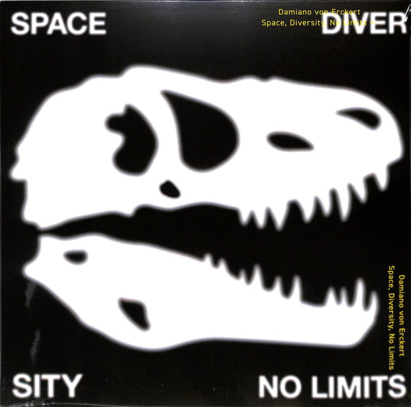 Damiano von Erckert - Space, Diversity, No Limits | Live At Robert Johnson (Playrjc 072) - main Damiano von Erckert - Space, Diversity, No Limits | Live At Robert Johnson (Playrjc 072) - main