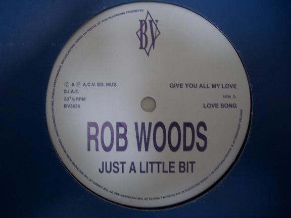Robert Woods - Just A Little Bit | Blue Village (BV3036) - main