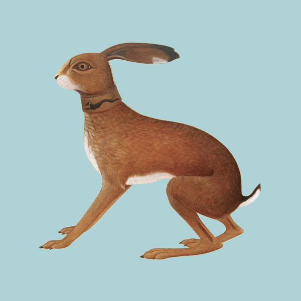 Vashti Bunyan - Lookaftering | FatCat Records (FATLP38X) - 2 Vashti Bunyan - Lookaftering | FatCat Records (FATLP38X) - 2