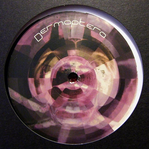 Dermaptera - Dermaptera 3 | Dermaptera (Dermaptera03)