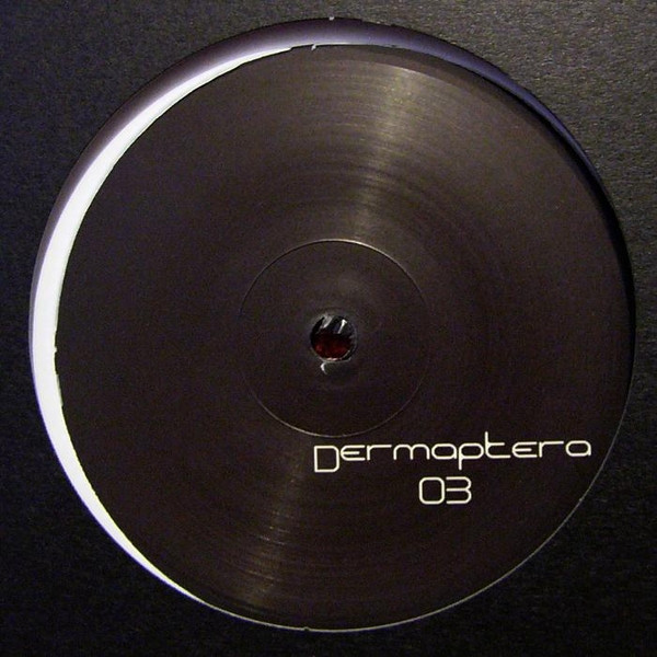 Dermaptera - Dermaptera 3 | Dermaptera (Dermaptera03) - 2