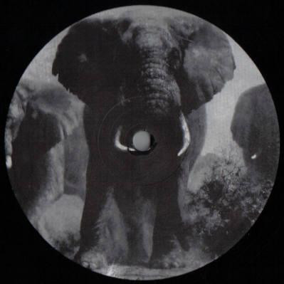 Universal Being - The Size Of An Elephant | Holistic Recordings (HOL 4) - main Universal Being - The Size Of An Elephant | Holistic Recordings (HOL 4) - main