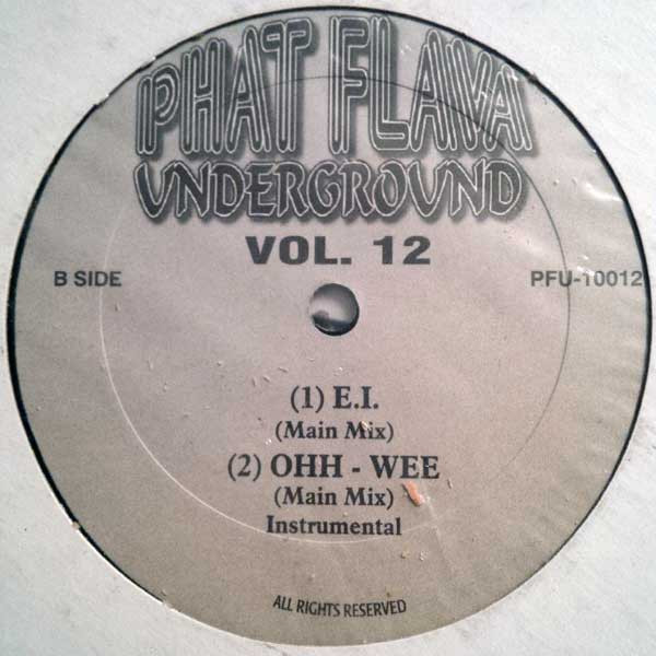 Various - Phat Flava Underground ‎Vol. 12 | Phat Flava Underground (PFU-10012) - 2