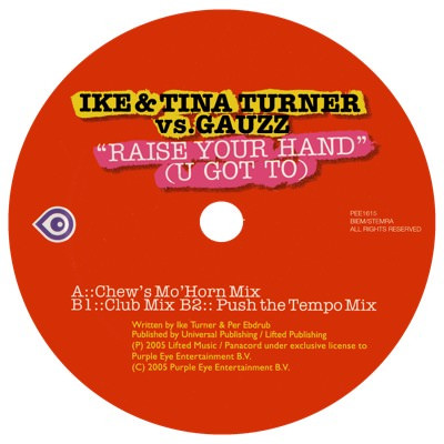 Ike & Tina Turner Vs. Gauzz - Raise Your Hand (U Got To) | Purple Eye Entertainment (PEE1615) - main