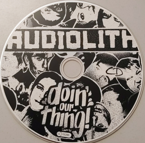 Various - Audiolith - Doin' Our Thing | Audiolith (AL050) - 3