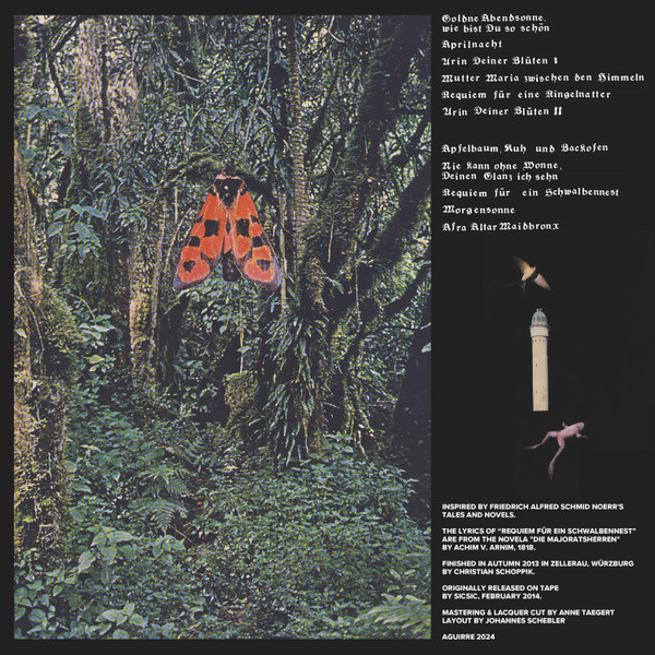 Brannten Schnüre - Aprilnacht | Aguirre Records (ZORN81) - 2 Brannten Schnüre - Aprilnacht | Aguirre Records (ZORN81) - 2