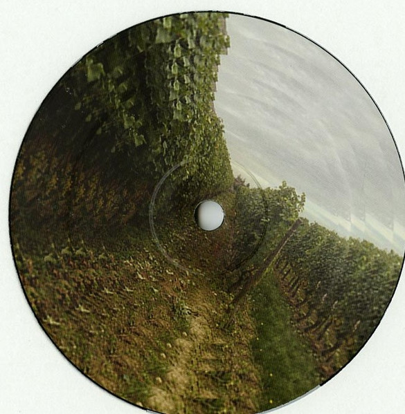 Pipholp - Rue Râle 01 | Rue Râle (ruerale01)