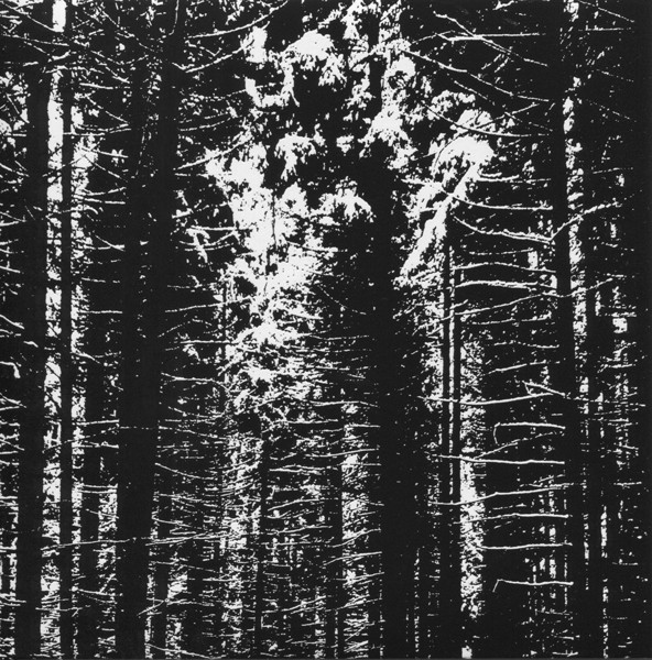 Tocotronic - Die Unendlichkeit | Vertigo (6713110) - 3