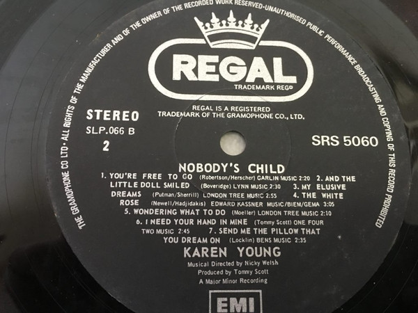 Nobody's Child And 13 Other Great Songs