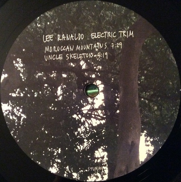 Lee Ranaldo - Electric Trim 2LP | Mute (STUMM403) - 3 Lee Ranaldo - Electric Trim 2LP | Mute (STUMM403) - 3
