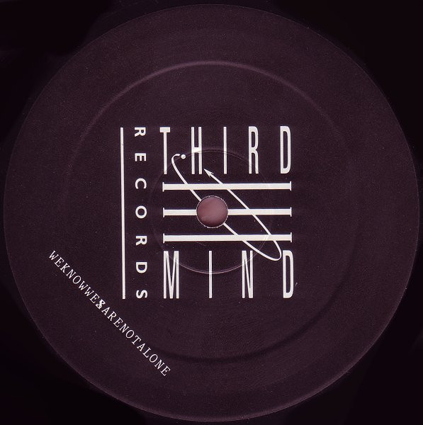 The Flash Faction - Bad Moog Rising | Third Mind Records (TM 2364 6) - 3 The Flash Faction - Bad Moog Rising | Third Mind Records (TM 2364 6) - 3