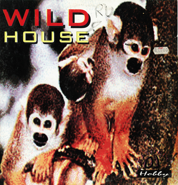 Wild House Featuring DJ Hobby - This Beats Non Stop | Pirate Records (PI018)