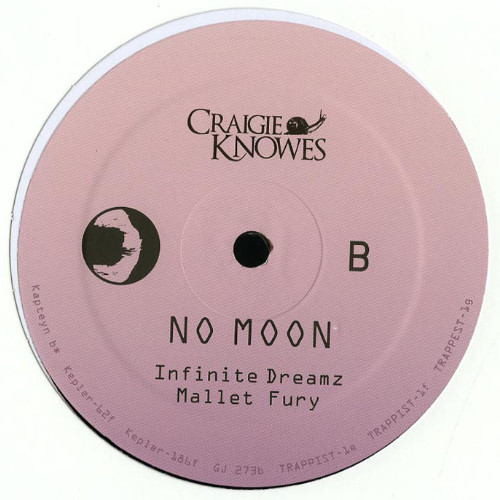 No Moon - Infinite Dreamz EP | Craigie Knowes (CKNOWEP8) - 2