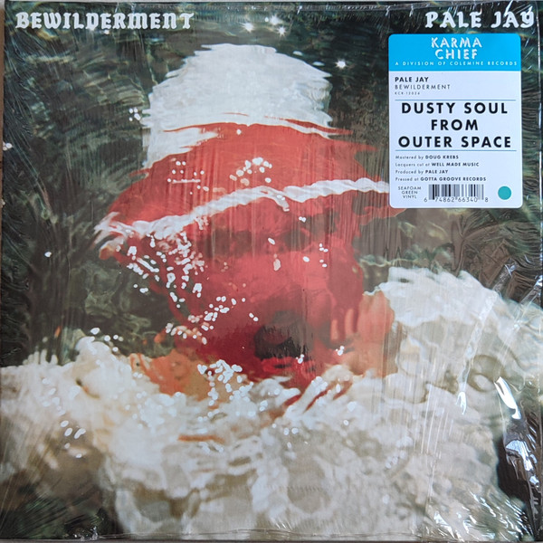 Pale Jay - Bewilderment | Karma Chief Records (KCR-12026) - main Pale Jay - Bewilderment | Karma Chief Records (KCR-12026) - main