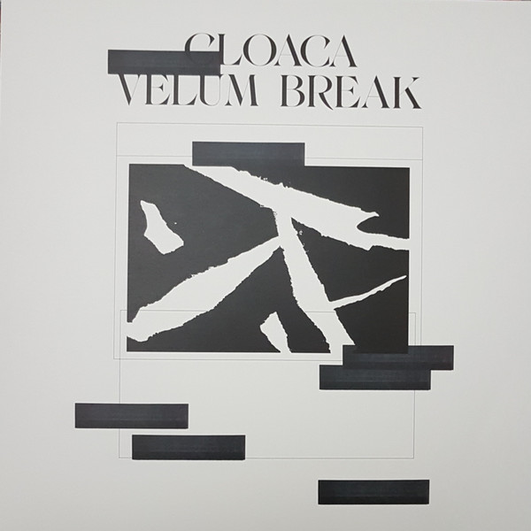 Velum Break - Cloaca | Analogical Force (AF036) - 2 Velum Break - Cloaca | Analogical Force (AF036) - 2