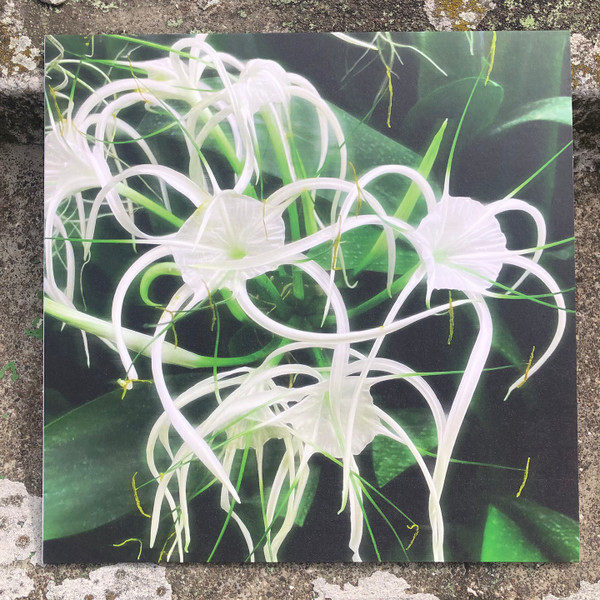 Céilí / Asquith - Back Once Again EP | Higher Power (HIGHER002) - main