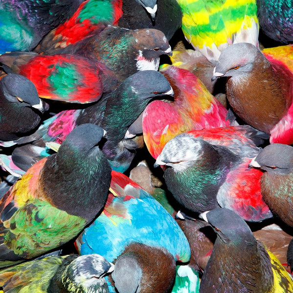 Blawan - SickElixir | XL Recordings (XL1560LP) - main Blawan - SickElixir | XL Recordings (XL1560LP) - main