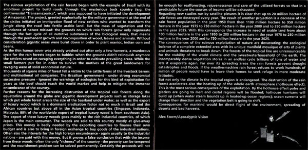 Various - Jekura - Deep The Eternal Forest | Apocalyptic Vision (AV 009 CD) - 4