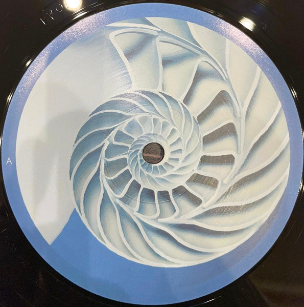 Zen Paradox - Ammonoidea EP | Timing Records (TMGR 001) - 3 Zen Paradox - Ammonoidea EP | Timing Records (TMGR 001) - 3