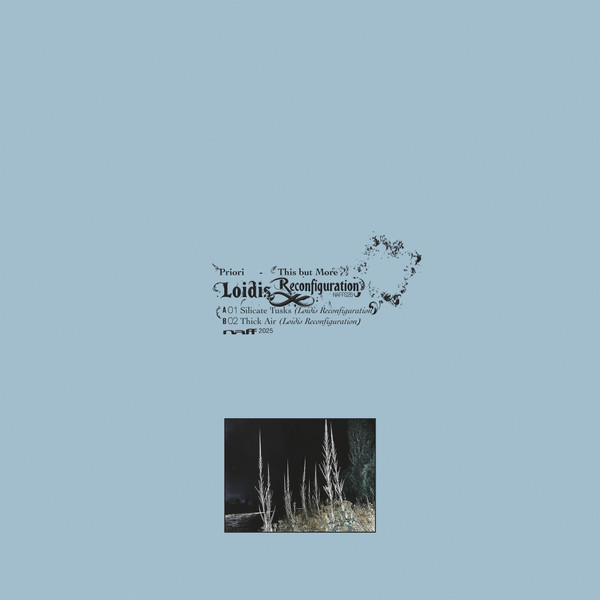 Priori - This But More (Loidis Reconfiguration) | NAFF (NAFF026)
