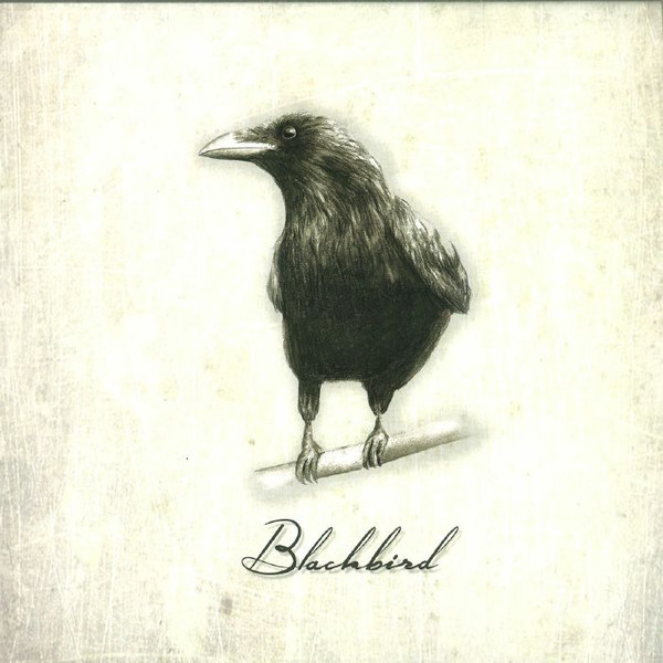 Nico Pusch - Blackbird | Droomschipp (DROOMSCHIPP 004) - main