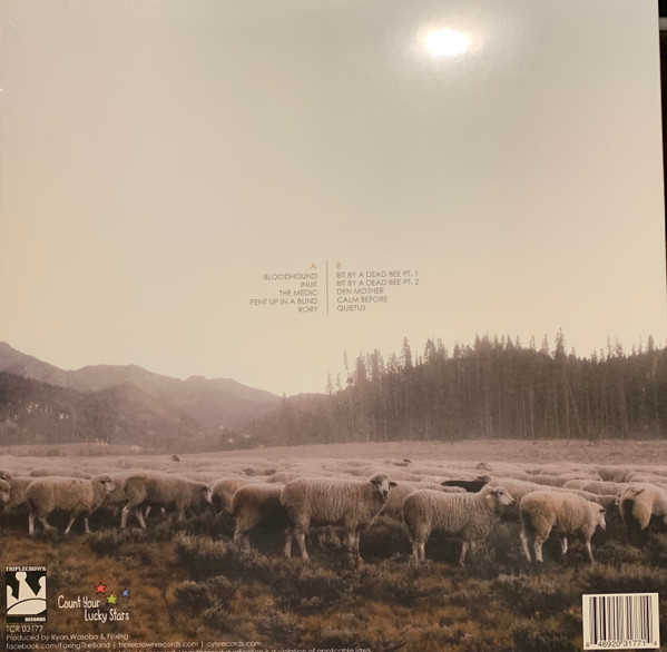 Foxing - The Albatross | Triple Crown Records (TCR 03177) - 2 Foxing - The Albatross | Triple Crown Records (TCR 03177) - 2