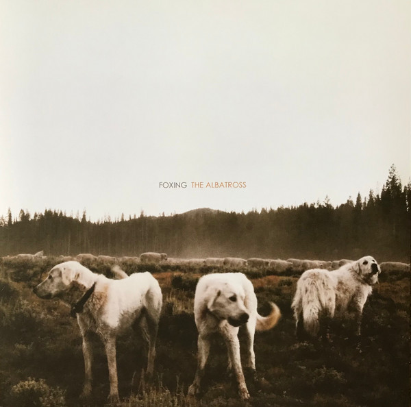 Foxing - The Albatross | Triple Crown Records (TCR 03177) - main Foxing - The Albatross | Triple Crown Records (TCR 03177) - main