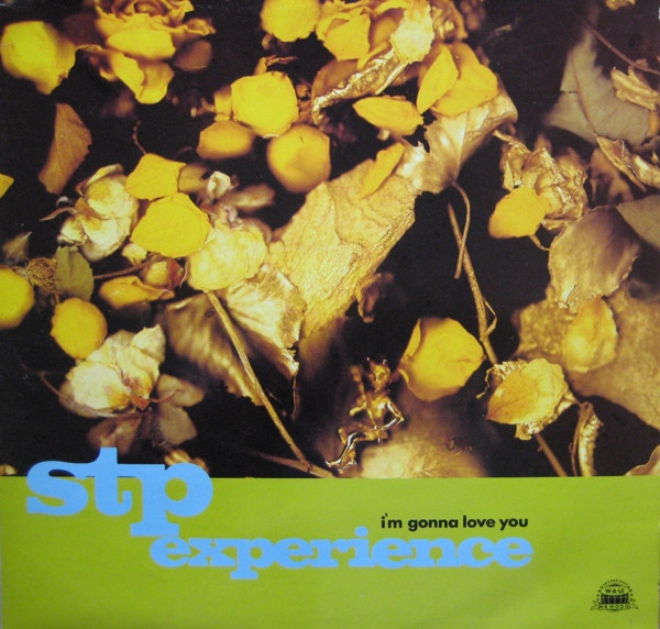 The STP Experience - I'm Gonna Love You | WAU! Mr. Modo Recordings (MWS 033T) - main