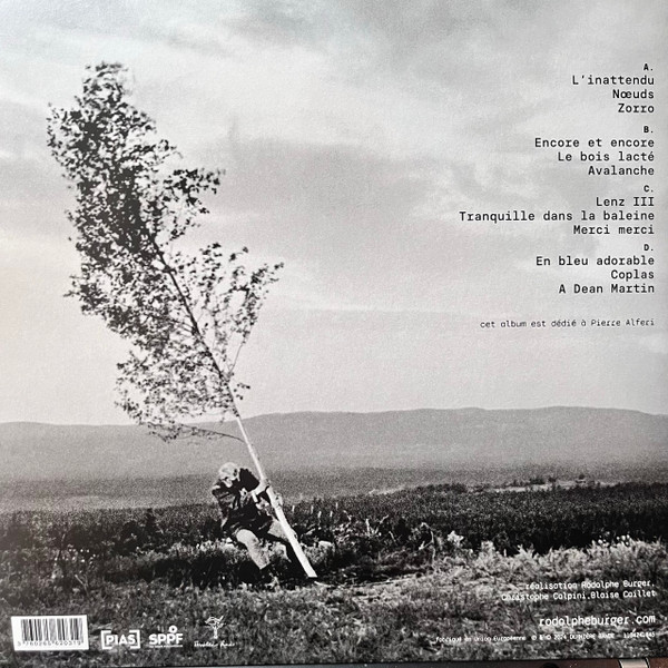 Rodolphe Burger - Avalanche | Dernière Bande (1104241845) - 2 Rodolphe Burger - Avalanche | Dernière Bande (1104241845) - 2