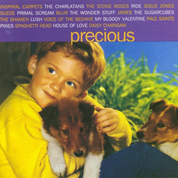 Various - Precious | Dino Entertainment (DINCD38)