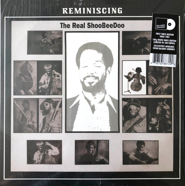 The Real ShooBee Doo - Reminiscing | Tidal Waves Music (TWM29)