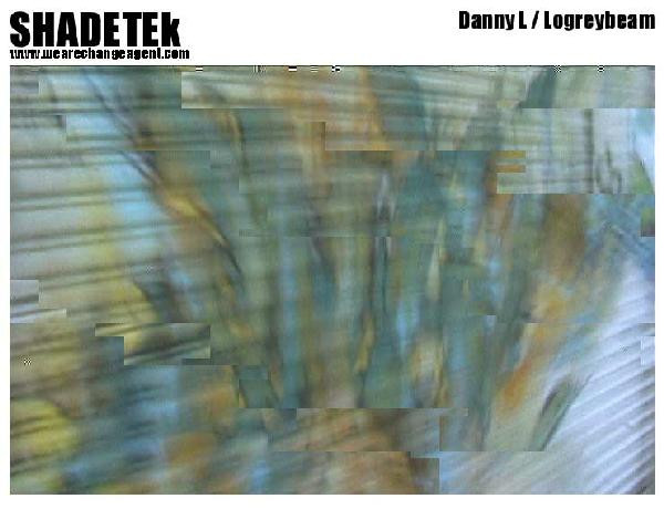 Danny L / Logreybeam - Danny L / Logreybeam Split | Shadetek Records (SHT005)