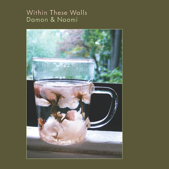 Damon & Naomi - Within These Walls | 20|20|20 (202020.05) - main