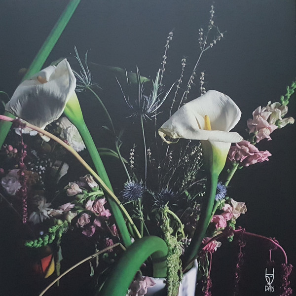 Death Bells - New Signs Of Life | Dais Records (DAIS156) - 2