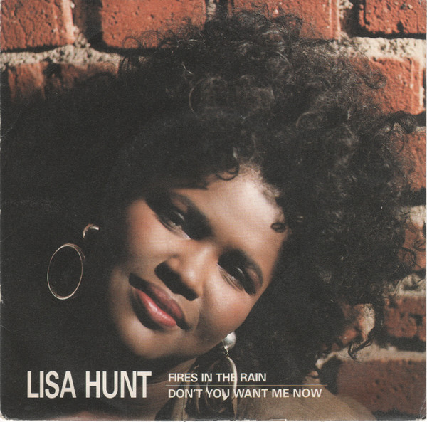Lisa Hunt - Fires In The Rain / Don't You Want Me Now | Polydor (877 202-7) - main Lisa Hunt - Fires In The Rain / Don't You Want Me Now | Polydor (877 202-7) - main