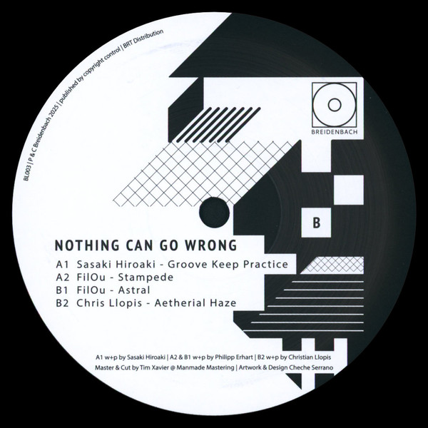 Various - Nothing Can Go Wrong | Breidenbach (BL003) - 2 Various - Nothing Can Go Wrong | Breidenbach (BL003) - 2