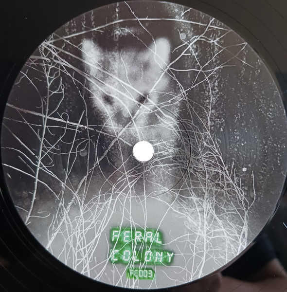 Bill Converse - FC003 | Feral Colony (FC003) - 3
