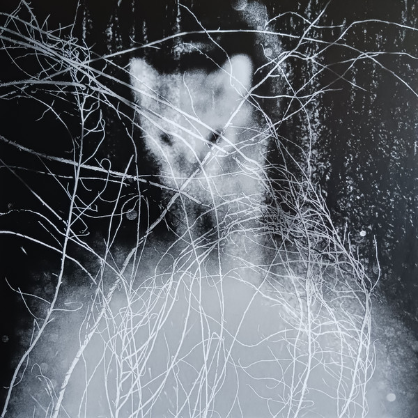 Bill Converse - FC003 | Feral Colony (FC003) - main