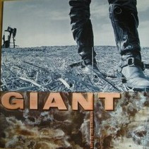 Giant - Last Of The Runaways | A&M Records (395272-1)