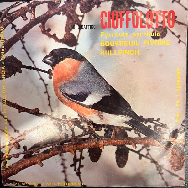 No Artist - Pettirosso / Ciuffolotto | Equipe (SP 028) - 2