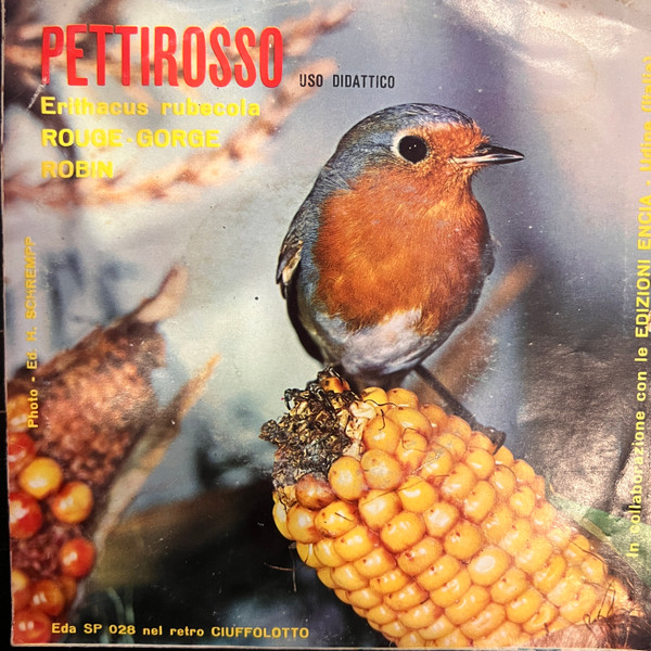 No Artist - Pettirosso / Ciuffolotto | Equipe (SP 028) - main