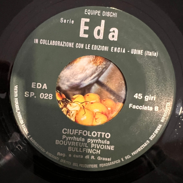 No Artist - Pettirosso / Ciuffolotto | Equipe (SP 028) - 4