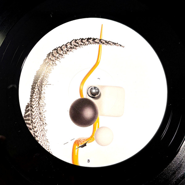 XY0815 - This Tool Has No Options | YUYAY Records (YUY010LP) - 4